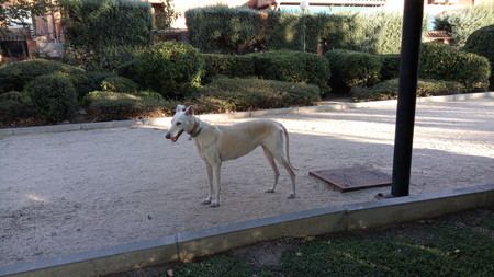 Img 20170811 201130 5