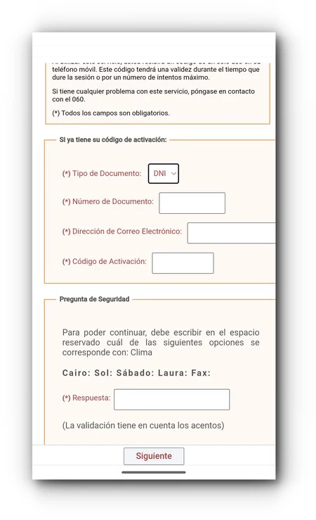 Cl Ve 永久フォーム