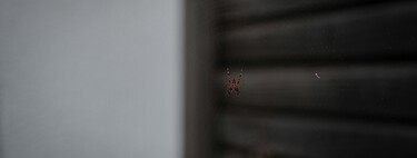 Lidl está arrasando con esta mosquitera para puertas que se instala sin taladros: cuesta menos de 5 euros y apenas quedan unidades 