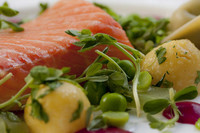 Omega 3: que no falte este verano en tu mesa