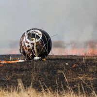 Rusia mandó 75 ratones al espacio en una cápsula de diseño soviético. Han vuelto todos menos 10
