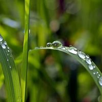 Naturaleza y productividad 