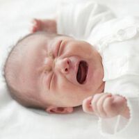 El hilo definitivo que nos recuerda lo que les pasa a los bebés desatendidos y la importancia del apego 