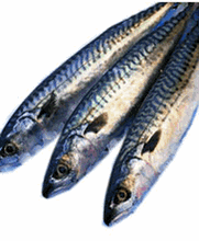 Pescado