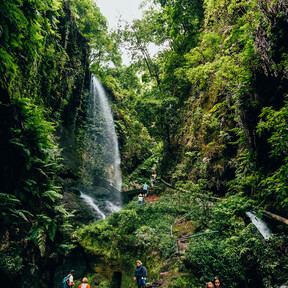 Qué hacer y qué comer en La Palma: 48 horas en la Isla Bonita de las Canarias 