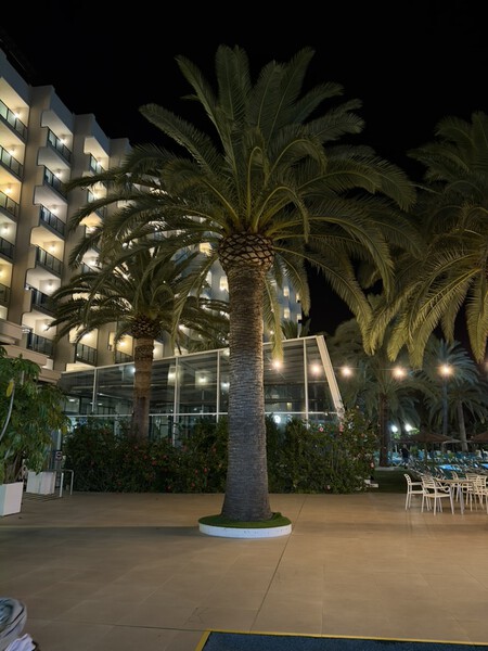 denia