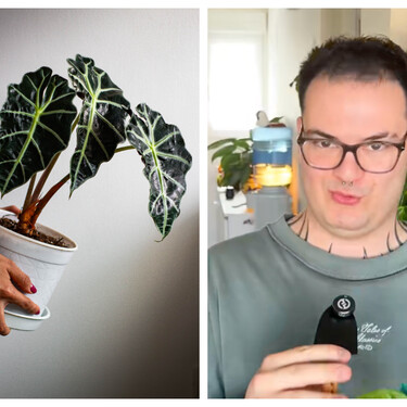 Manu, experto en plantas: “Estas son las tres señales de que tu planta te está pidiendo un trasplante” 