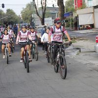Muchos piensan que es ilegal, pero los ciclistas si se pueden pasar los altos en CDMX: estos son los criterios necesarios 