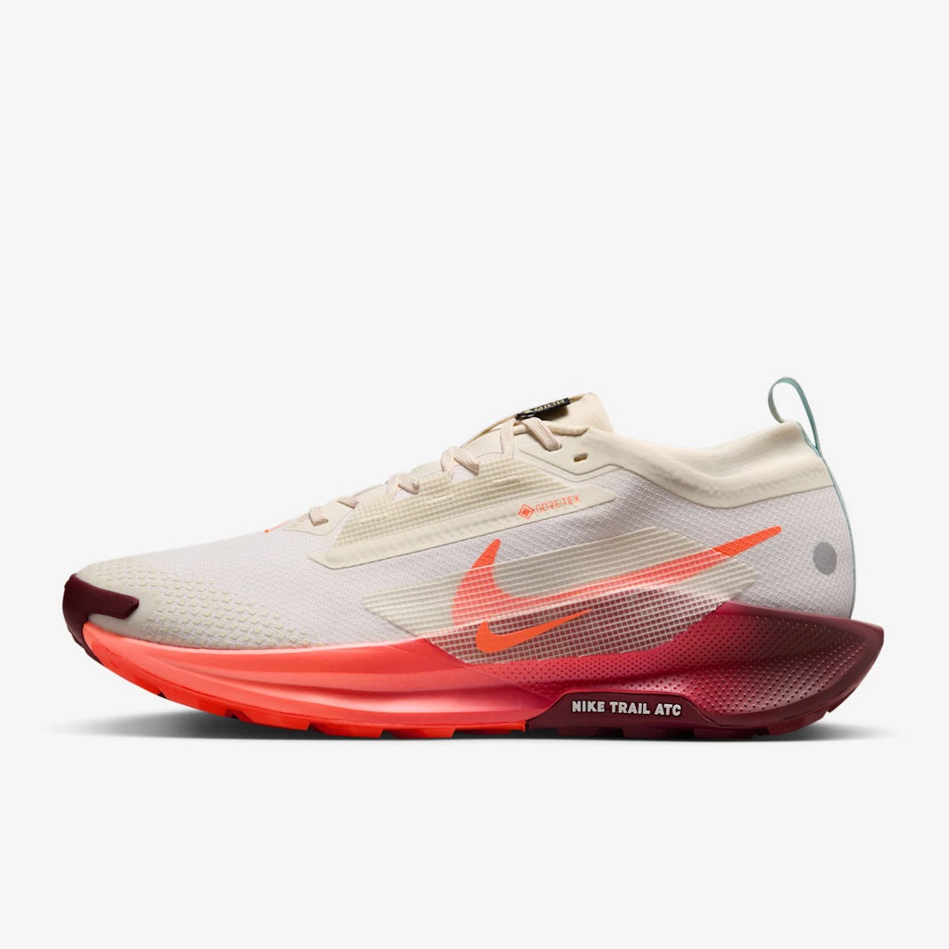 Nike Pegasus Trail 5 GORE-TEX
