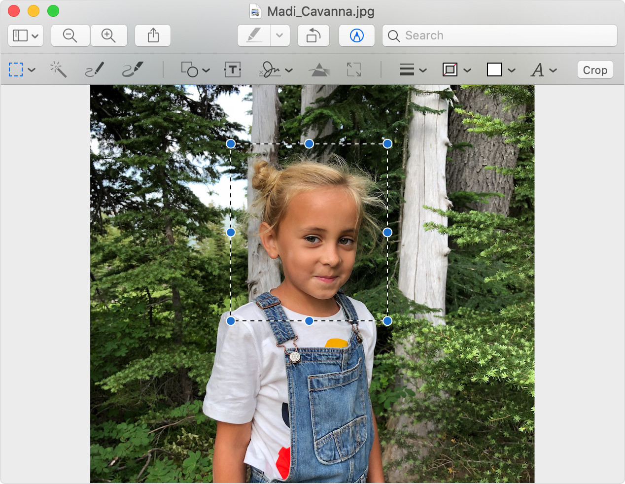 Siete alternativas a Paint para macOS