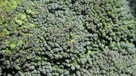 Una pastilla de extracto de brócoli: ¿ayuda para los diabéticos?