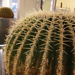 Foto 113 de 154 de la galería fotos-tomadas-con-el-honor-10-lite en Xataka Android