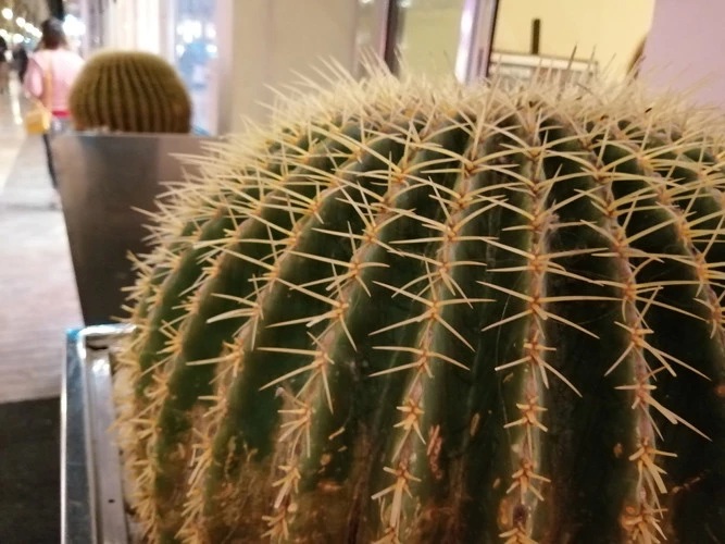 Foto de Fotos tomadas con el Honor 10 Lite (113/154)