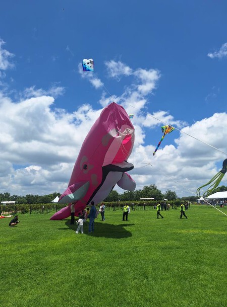 Lánzate a volar un papalote al Festival Volarte 2026 este fin de semana a este Pueblo Mágico de Puebla