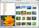Visualiza tus fotos con Fastone Viewer