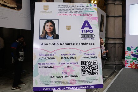Licencia Permanente Ultimo Mes Tramite Cdmx
