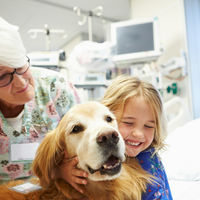 Así trabaja Zénit, el perro de terapia que ayuda a minimizar el dolor y la ansiedad de los niños hospitalizados