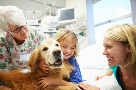 Así trabaja Zénit, el perro de terapia que ayuda a minimizar el dolor y la ansiedad de los niños hospitalizados