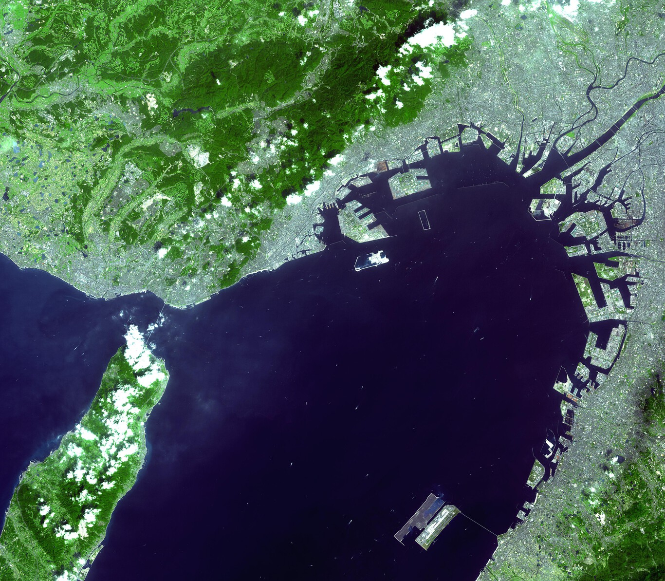 Wfm Kansai Overview
