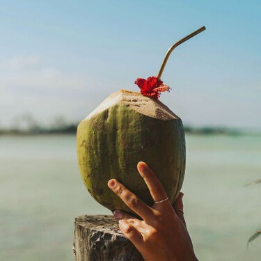 Festival del Coco 2026 en Progreso: fecha, horario y todo lo que habrá en el Malecón