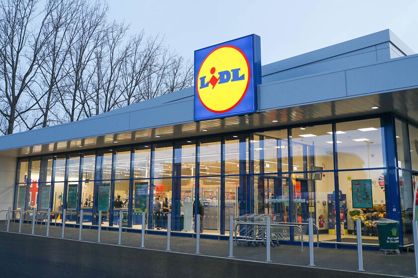 Horno Compacto Lidl