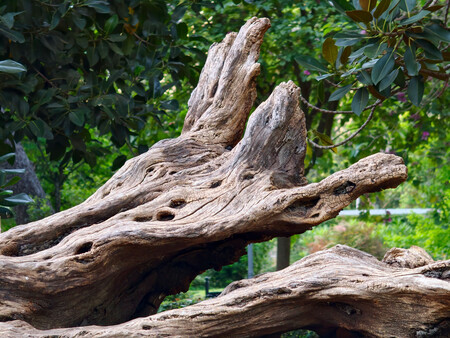 Oppo Find X9 Ultra 45