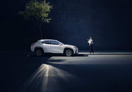 Lexusux 0010a 26 Monotone Talent Scaled