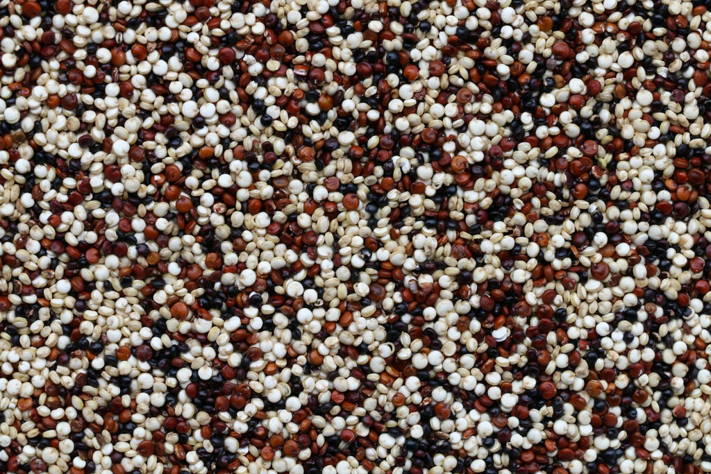 La historia detrás de la quinoa cómo se ha convertido en uno de los