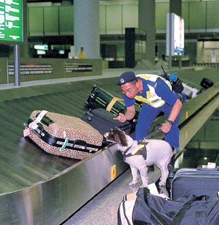 Regalan marihuana en el aeropuerto de Tokio