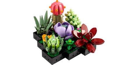 Set LEGO Suculentas