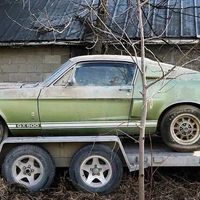 ¡Tesoro de granero! Encuentran un Ford Mustang Shelby GT500 1967 que estuvo abandonado 40 años