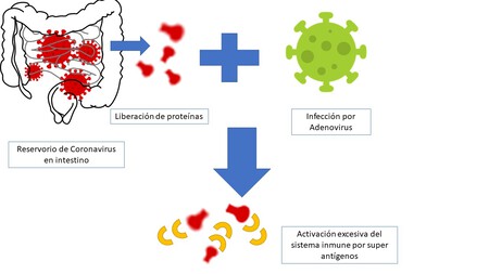 Coronavirus Adenovirus