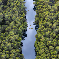 Semanas antes da COP30, apenas 64 países apresentaram novas promessas para diminuir emissão de carbono