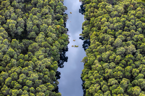 Getty Images/Ignacio Palacios