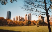 Cosas que ver en Nueva York en un día cualquiera (y II) 