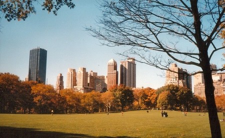 Cosas que ver en Nueva York en un día cualquiera (y II)