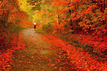 Fotografiar el otoño: algunos consejos e imágenes para inspirarse