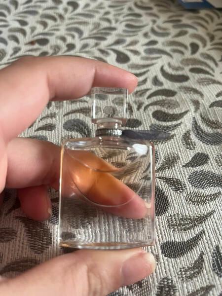 Whatsapp Image 2025 02 05 At 13 04 39