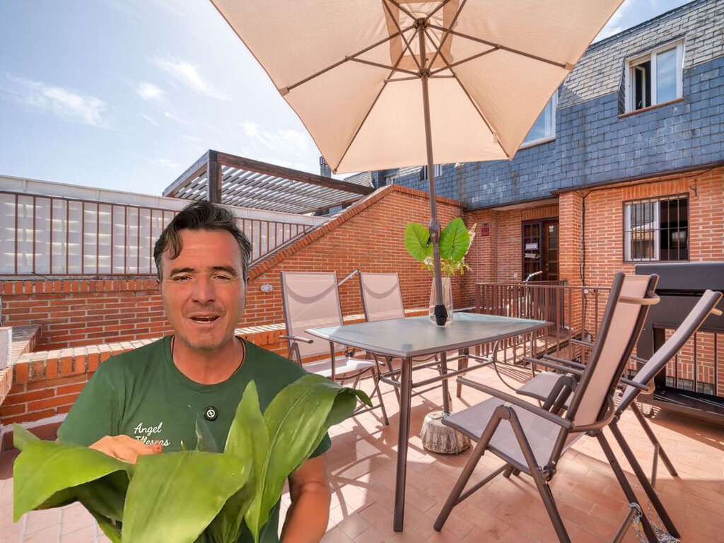 Ángel Illescas, experto en jardinería: “Las plantas que había siempre en casa de las abuelas son todoterreno, ideal para principiantes”