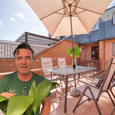Ángel Illescas, experto en jardinería: “Las plantas que había siempre en casa de las abuelas son ideales para principiantes"