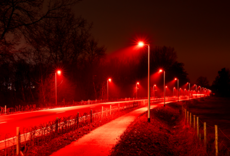 Via Ciclista Copenhague Dinamarca Luz Roja Farolas
