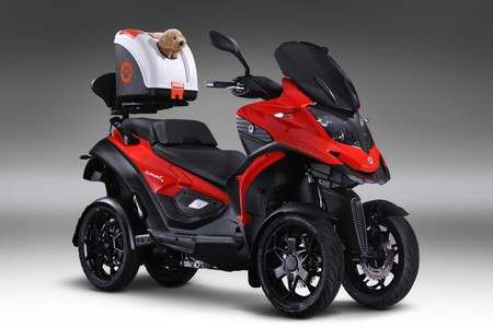 Sí, puedes llevar a tu perro en moto, pero no de cualquier forma según la ley