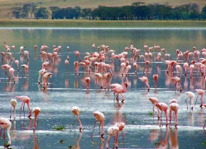 Lago Manyara