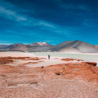 Atacama tem uma surpresa: o deserto mais seco do mundo possui uma diversidade riquíssima de vida — com vermes que lembram Duna