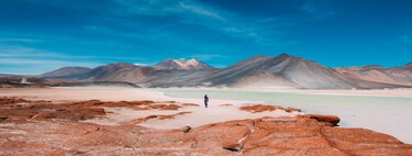Atacama tem uma surpresa: o deserto mais seco do mundo possui uma diversidade riquíssima de vida — com vermes que lembram Duna