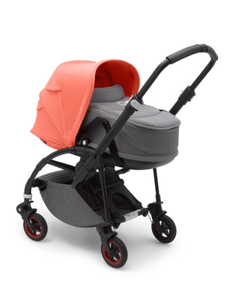 Bugaboo Coral
