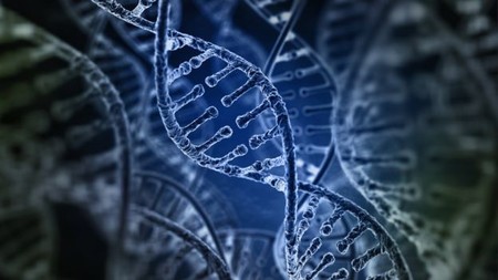 Un 8% del ADN humano está formado por restos de virus