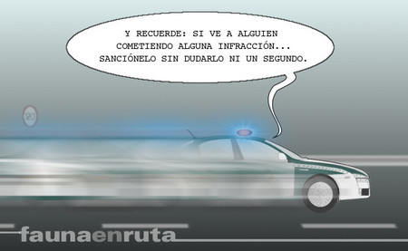 fauna en ruta - Guardia Civil