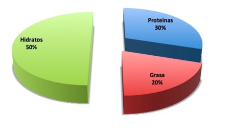 Pautas para crear tu dieta de volumen (I)