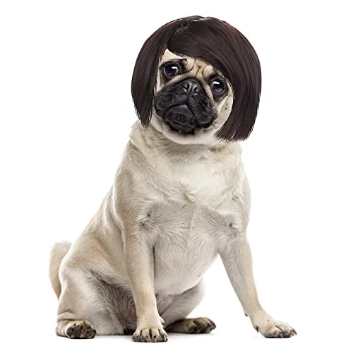 Cobee Divertidos perros gatos Cosplay peluca,Mascota peluca ajustable disfraz divertido tocado disfraces para pequeños perros medianos pelucas Halloween Navidad decoraciones